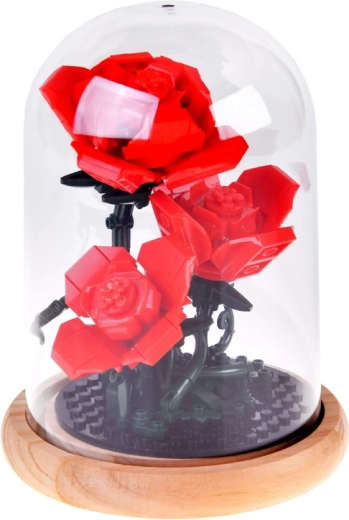 Stabilna kupola z lesenim podstavkom