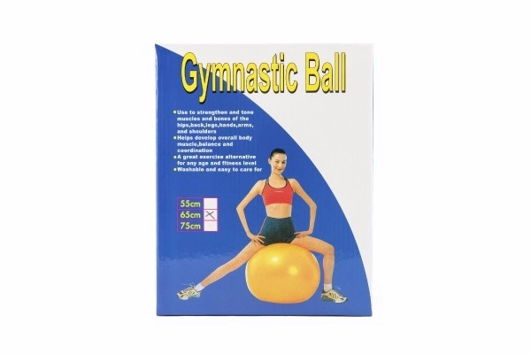 Gimnastična žoga 65cm rehabilitacijska sprostitvena v škatli 16x22cm