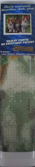Norimpex Diamantno Barvanje Mačk 30x40 cm