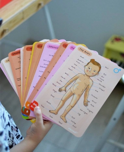 Učenje v 11 jezikih