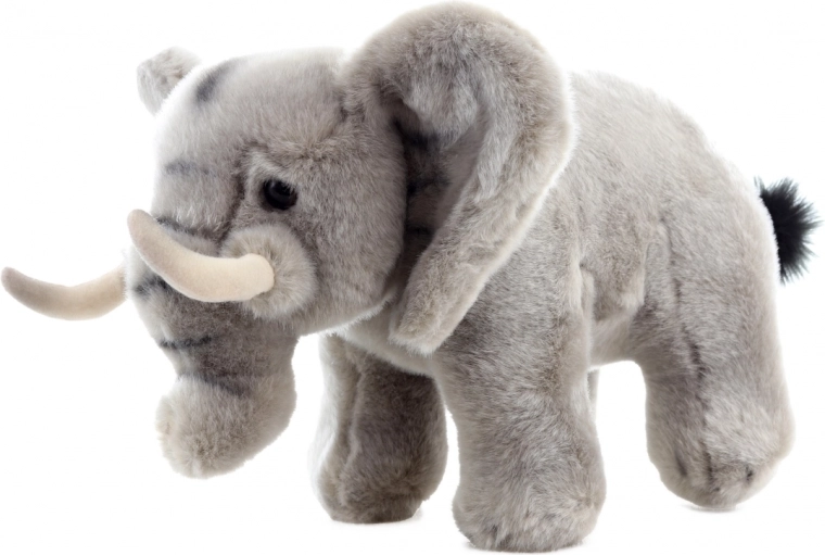 Realistična zasnova