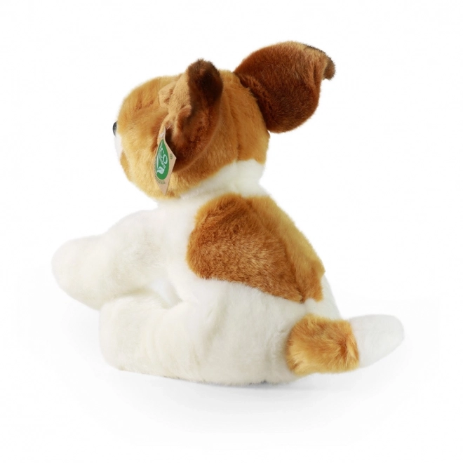 Plišasti pes jack russell terier sedeč 30 cm EKOLOŠKO PRIJAZEN