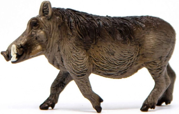 Odlično za učenje in zbirke