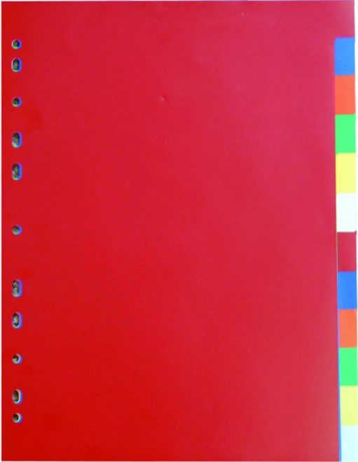 Razdeljevalnik dokumentov A4 2x6 barv