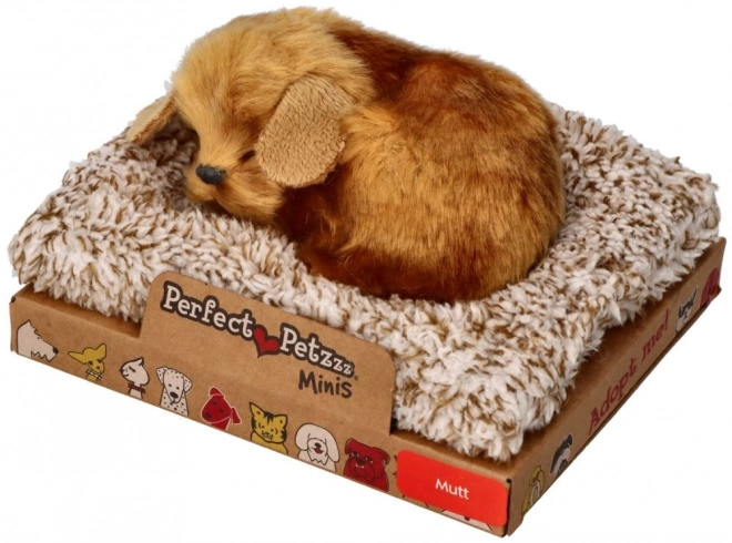 Majhen psiček Perfect Petzzz
