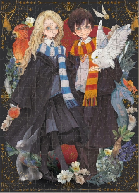 Sestavljanka Harry Potter: Harry in Luna 300 kosov