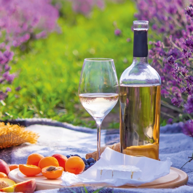 Koledar za beležke Provence 2026
