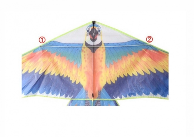 Velik ptičji zmaj z dolgim ​​repom trakovi barvni papagaj 250cm x 140cm