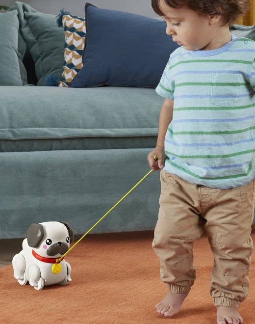 Fisher Price Sprehajalec mops HTW94