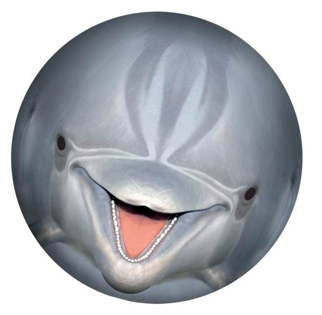 SPORTO Podvodna žoga - delfin