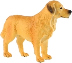 Kompaktna velikost 10 cm