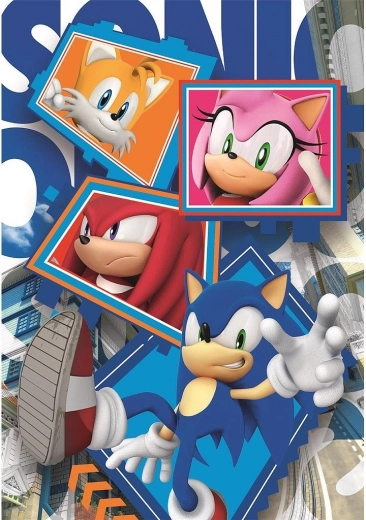 Sestavljanka SONIC THE HEDGEHOG – prijatelji 104 koščkov