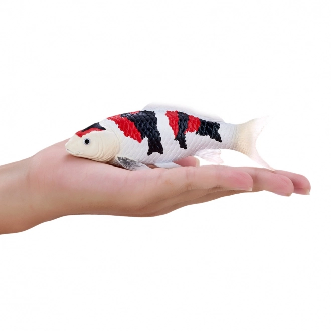 Mojo krap koi showa sanshoku