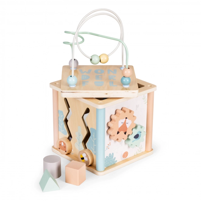 Lesene izobraževalne kocke Ecotoys