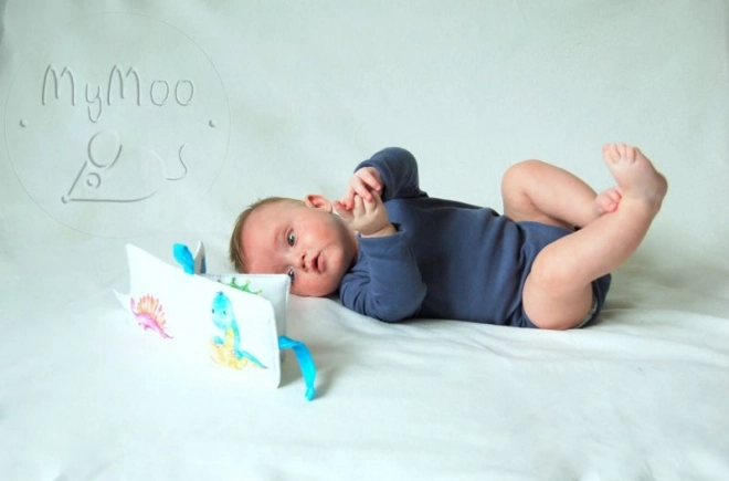 MyMoo Mini mehka knjiga - Potovanje v prazgodovino