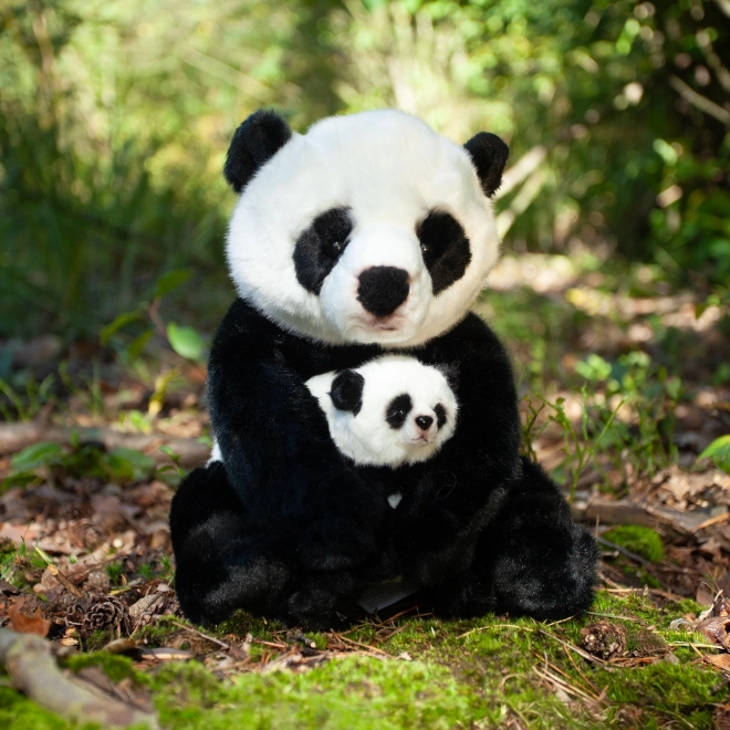 Rappa Plišasta panda z mladičkom 27 cm EKOLOŠKO PRIJAZNA