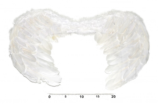 Angelska krila 55x40 cm