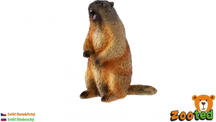 Svižec rumenotrebušni – realistična plastična figurica 8 cm