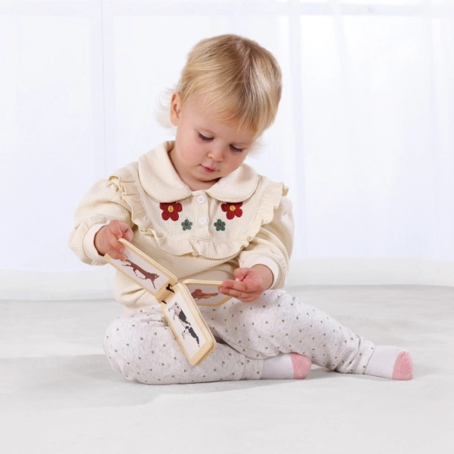Izobraževalna škatla XXL Montessori Tooky Toy