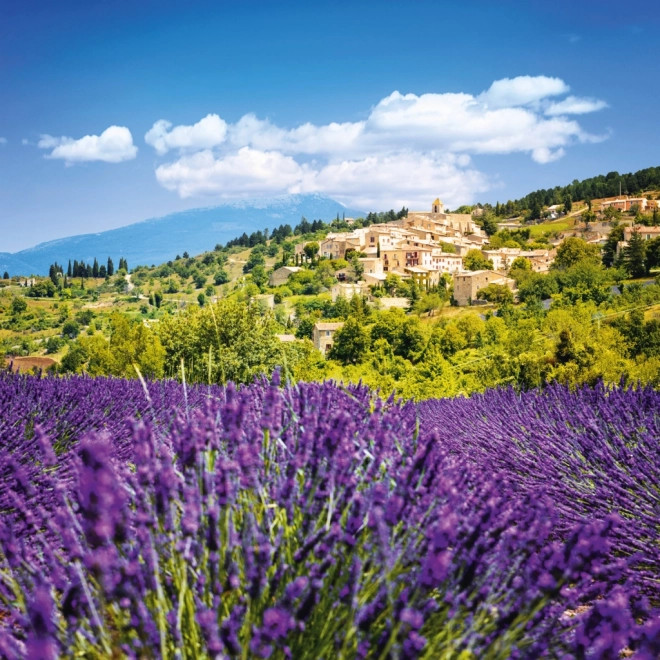 Koledar za beležke Provence 2026