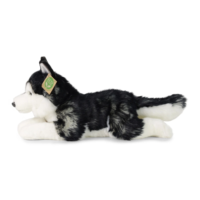Plišasti pes husky 36 cm EKOLOŠKO