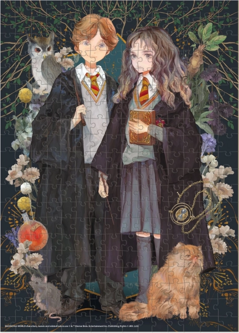 Uganka Harry Potter: Ron in Hermiona 300 kosov