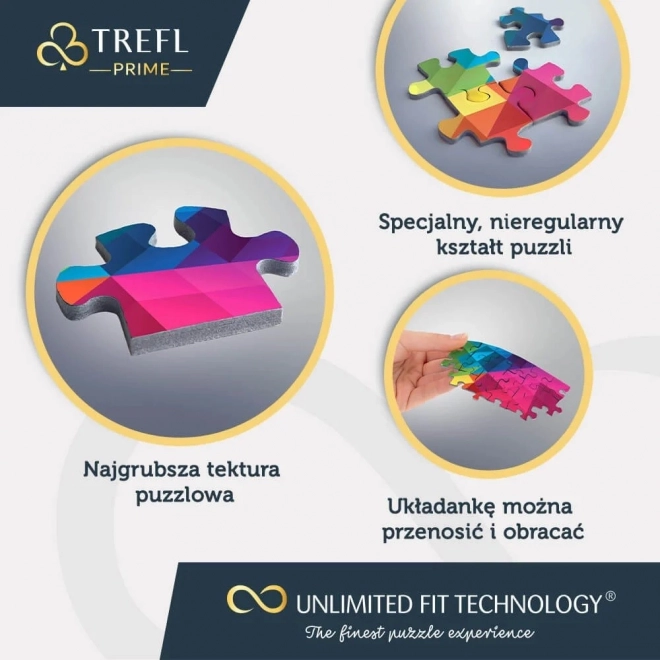 TREFL Puzzle UFT Harry Potter: Bradaviške hiše 9000 kosov