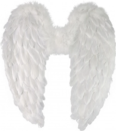Angelska krila s perjem