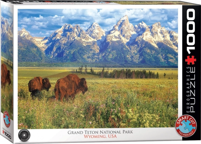 Sestavljanka čudoviti Narodni park Grand Teton 1000 delov