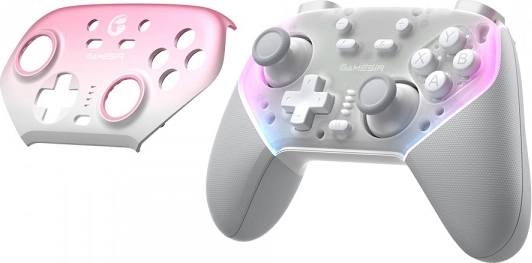 Zamenljiv faceplate, RGB in ergonomija za dolgotrajno igranje