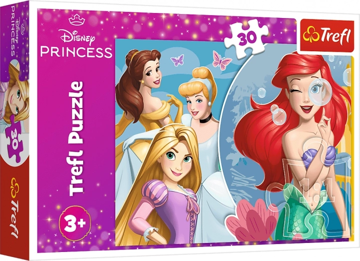 Motiv princes DISNEY PRINCESS