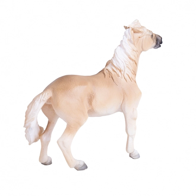 Mojo Konj Brumby Mare