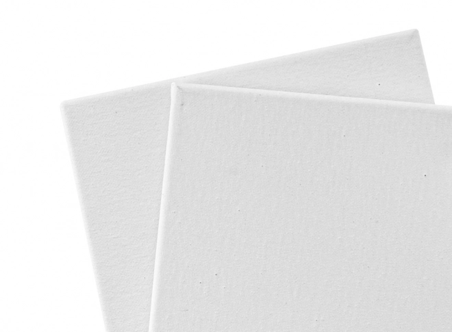 Platna za slikanje 20x20 cm - 2 kosi
