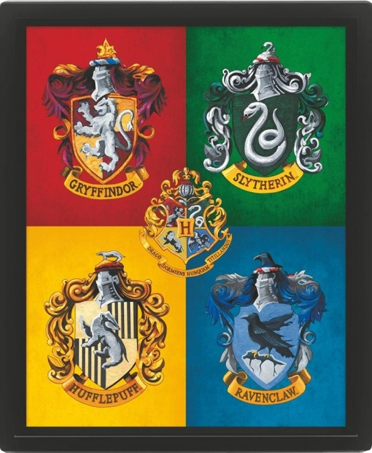 3D slika Harry Potter v barvah