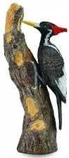 Collecta črnoglavi detel – realistična figurica