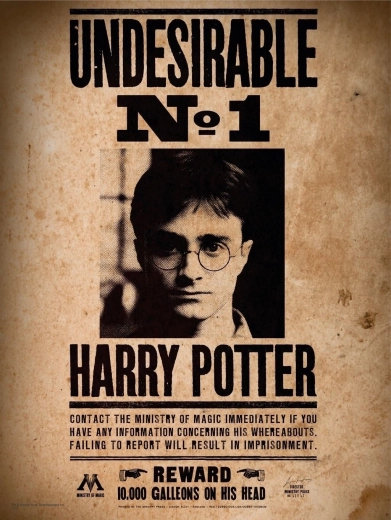 Mini sestavljanka HARRY POTTER 50 koščkov – plakat