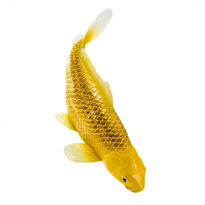 Mojo krap koi Matsuba