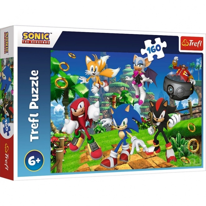 Sestavljanka Sonic in prijatelji 160 kosov