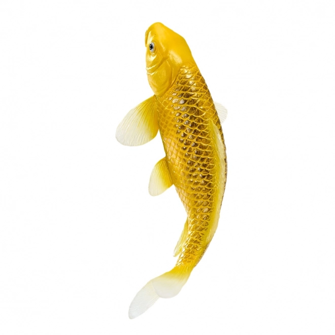 Mojo krap koi Matsuba