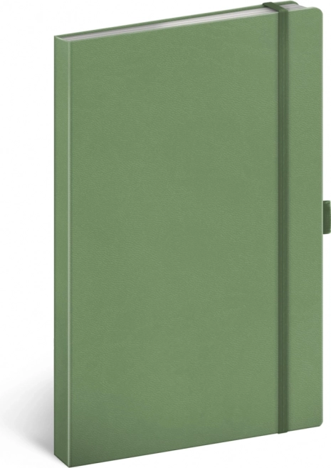 Zapisnik Notique zelen črtast 13 × 21 cm