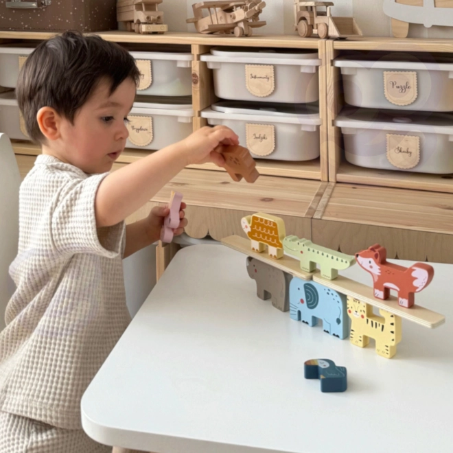 Lesene kocke živali Montessori 9 kosov od Tooky Toy