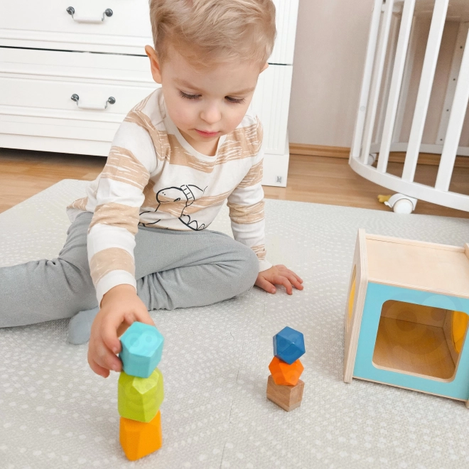 Izobraževalni Montessori Box za otroke v starosti 31-36 mesecev