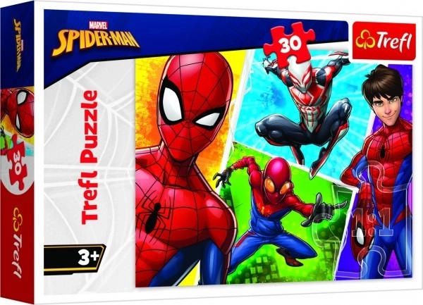 Sestavljanka Spider-Man in Miguel 30 kosov