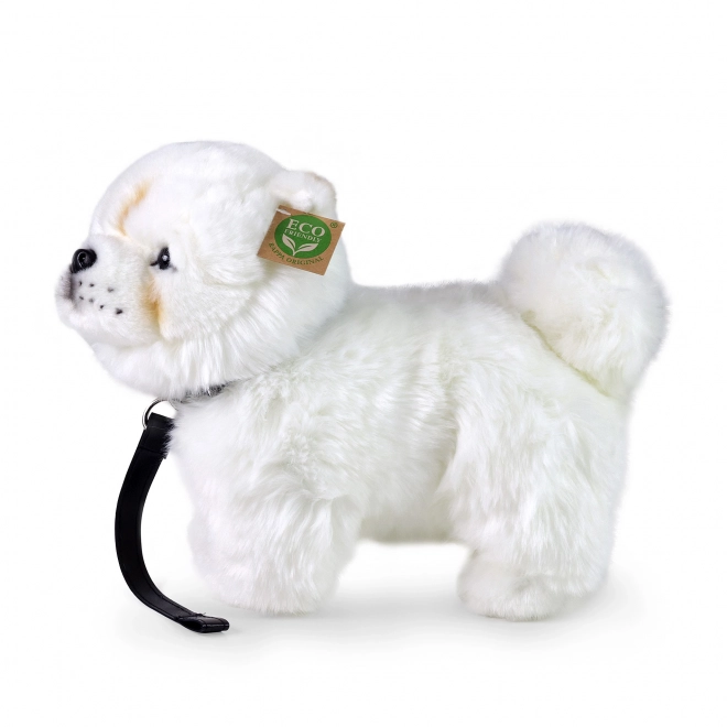 Plišasti pes čau-čau 30 cm EKO-PRIJAZEN