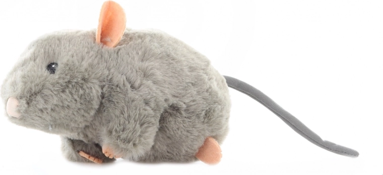 Varnostne podrobnosti za starost 0+