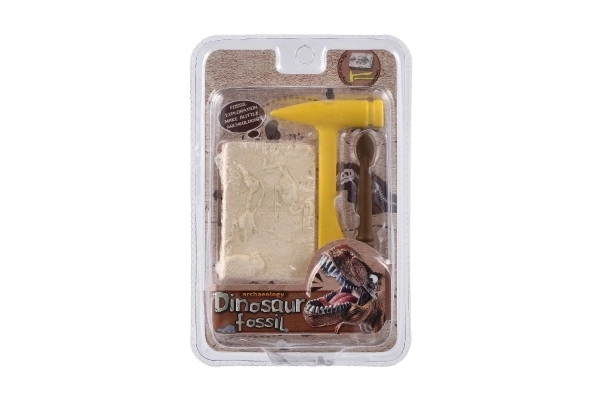 Mali arheolog dinozaver fosilije plast 2 barvi v blistru 12,5x19x5cm 12 kosov v škatli