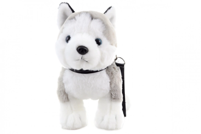 Plišasti husky z vrvico