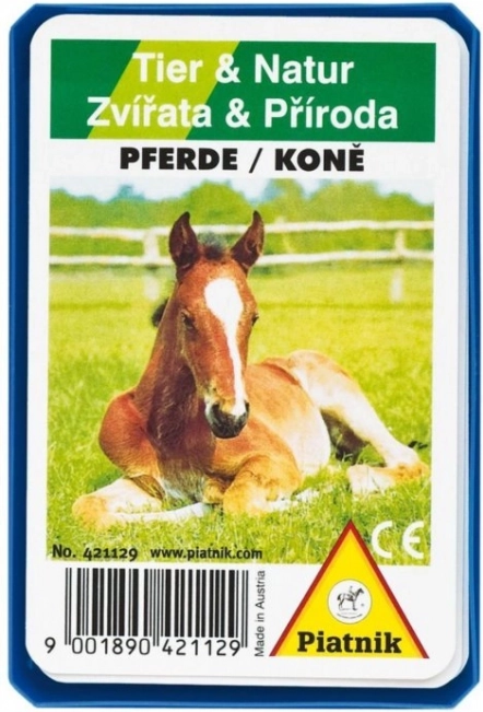 Kvartet – Konji v plastični škatlici