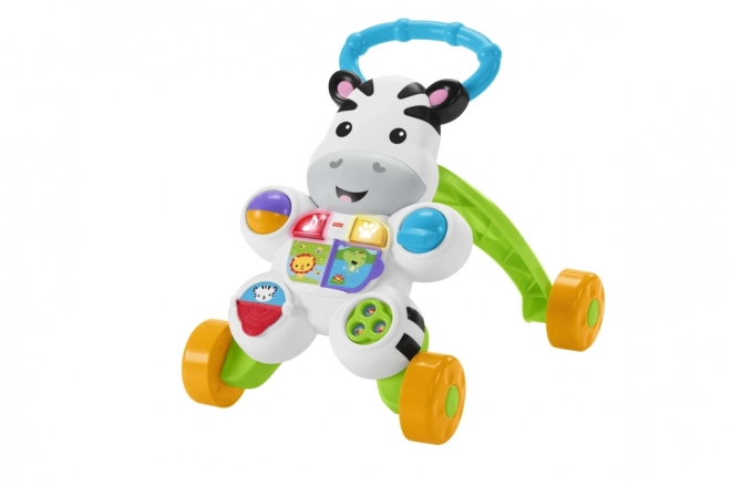 Hojica zebra z zvoki