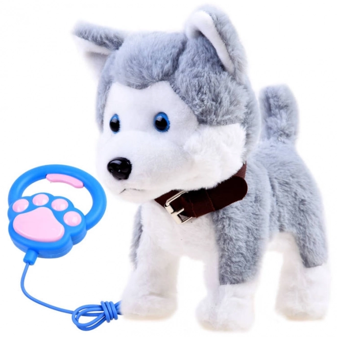 Interaktivni Husky pes na povodcu